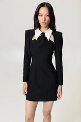 Tie Collar Mini Dress